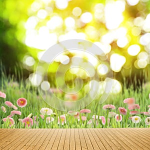 Empty wooden surface and blurred view of beautiful blooming daisy flowers in green meadow. Bokeh effect
