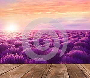 Empty wooden surface in lavender field at sunset