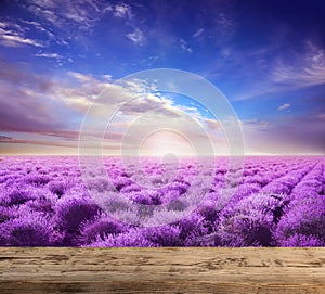 Empty wooden surface in lavender field under blue sky with clouds