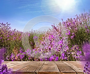 Empty wooden surface in lavender field under sky on sunny day