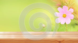 Empty wooden table on the background of a green garden. Ready for product montage. Mockup.Beautiful summer spring background