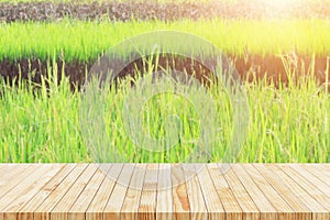 Empty Wooden Table on Blurred Background of Rice Field for Product Display Montage