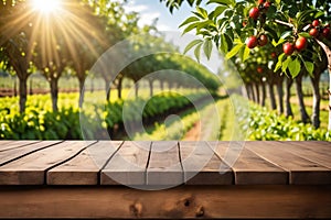Empty wooden table in a coffee tree farm with a sunny, blur garden background with a country outdoor theme. Display of the product