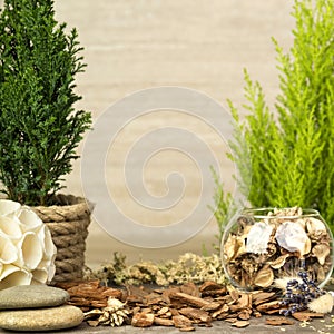 Empty wooden table decorated with organic things, stones, plants