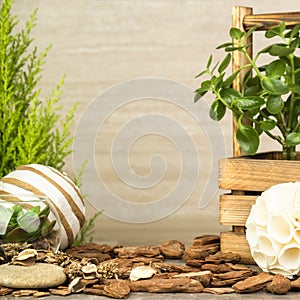 Empty wooden table decorated with organic things, stones, plants