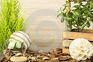 Empty wooden table decorated with organic things, stones, plants