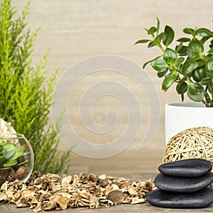 Empty wooden table decorated with organic things, stones, plants