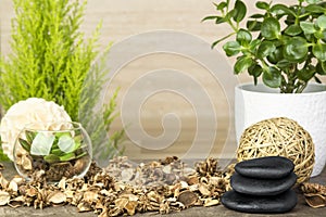 Empty wooden table decorated with organic things, stones, plants