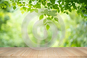 Empty wooden table on green nature background with beauty bokeh under sunlight