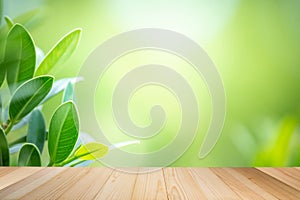 Empty wooden table on green nature background for product display