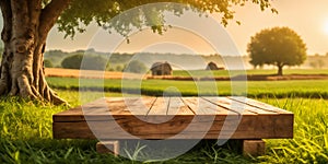 Empty wooden table with nature background. Ready for product display montage