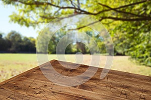 Empty wooden table  over autumn nature park background. Picnic mock up for design and product display