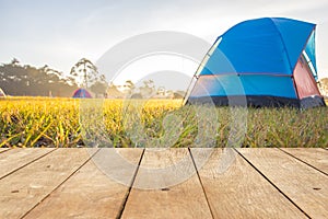 Empty wooden table or plank with dew on green grass and camping blue tent on morning on background.