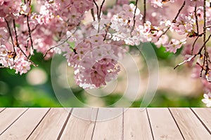 Empty wooden table in Sakura flower Park with garden bokeh background with a country outdoor theme,