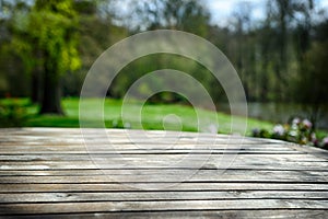 Empty wooden table in spring garden