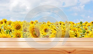 Empty wooden table on sunflower field background. Ready for product montage. Mockup. Banner.Copy space