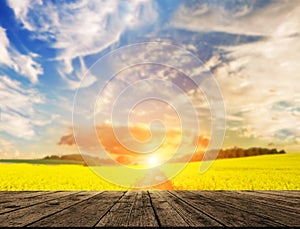 Empty wooden table in sunflower field with blue sky. the background for product display template