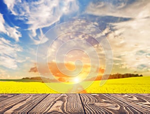 Empty wooden table in sunflower field with blue sky. the background for product display template