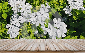 Empty wooden table top with white flower background, design for montage products display or mock-up