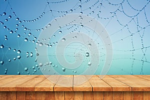 Empty wooden table and web spider water drop