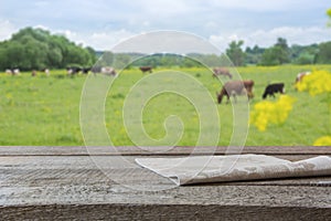 Empty wooden tabletop and blurred rural background of cows on green field. Display for your product