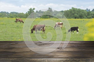 Empty wooden tabletop and blurred rural background of cows on green field. Display for your product