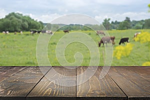 Empty wooden tabletop and blurred rural background of cows on green field. Display for your product