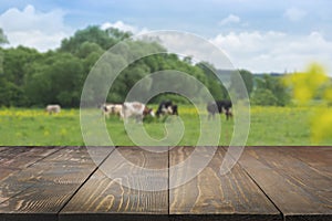 Empty wooden tabletop and blurred rural background of cows on green field. Display for your product