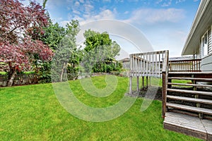 Empty Wooden walkout deck overlooking backyard garden