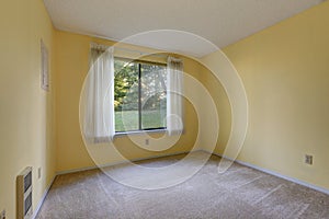 Empty yellow room with wall to wall carpet floor.