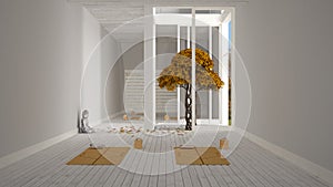 Empty yoga studio interior design, minimal open space with mats and accessories, zen garden, autumn tree, falling leaves, ready
