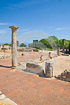 Empuries Roman ruins, Costa Brava photo