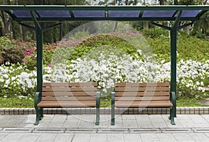 Empy bench in green park