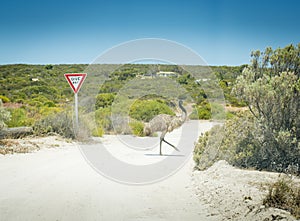 Emu Give Way Sign