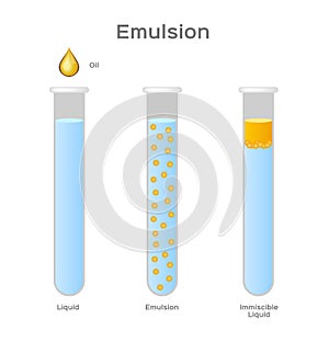 Emulsion of two liquids / oil and water/ immiscible vector