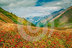 En-route Bali Pass, Upper Garhwal Himalaya