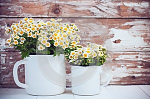 Enamel mugs with chamomile flowers