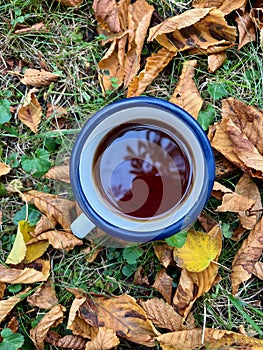 Enameled cup of coffee or tea on autumn landscape outdoors. Park Duchcov, Czech Republic