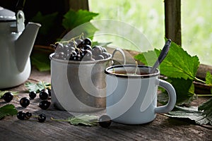 Enameled cup of healthy tea with black currant berries, mug of black currants, tea kettle on table