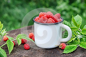 Enameled mug of raspberries.