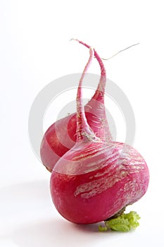 Enamoured radish