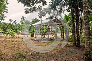 Encampment, Cuyabeno Wildlife Reserve