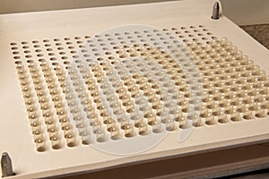 Encapsulating plate for the production of capsules of homeopathic or allopathic remedies