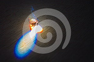 The encephalitis mite