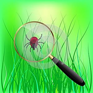 Encephalitis mite on the grass.  illustration.
