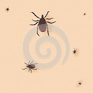 Encephalitis tick. Mite skin dust parasite vector icon illustration.