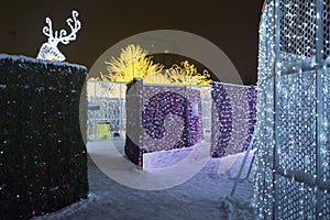 Enchant Christmas Light Maze and Market photo