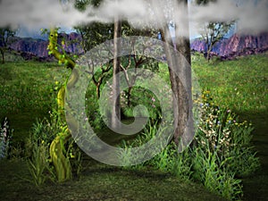 The enchanted Beanstalk photo