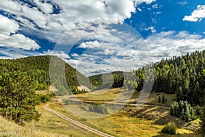 The Enchanted Circle