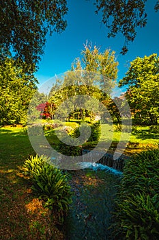 Enchanted colorful garden, Giardini di Ninfa, Latina, Rome